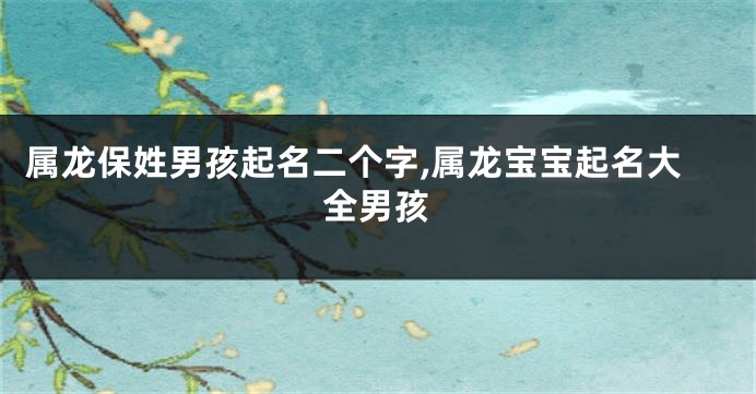 属龙保姓男孩起名二个字,属龙宝宝起名大全男孩