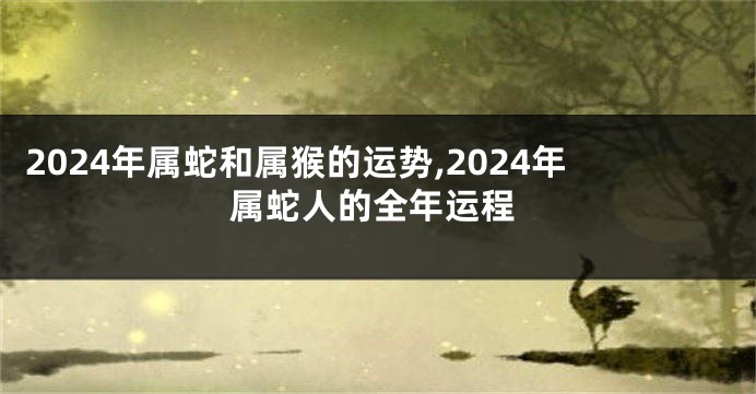 2024年属蛇和属猴的运势,2024年属蛇人的全年运程