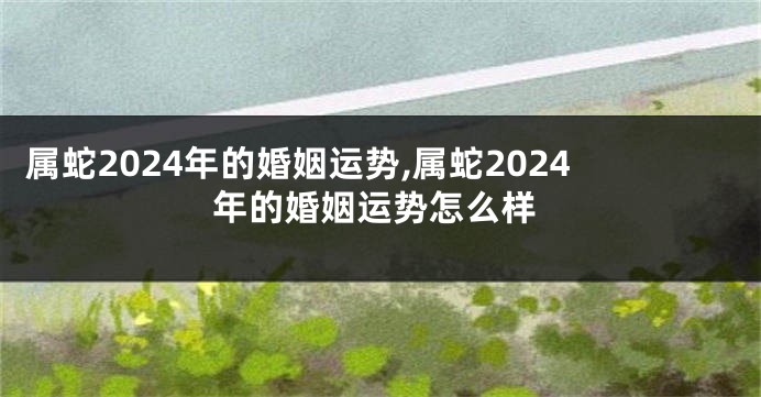 属蛇2024年的婚姻运势,属蛇2024年的婚姻运势怎么样