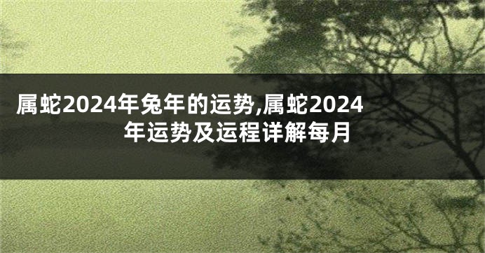 属蛇2024年兔年的运势,属蛇2024年运势及运程详解每月