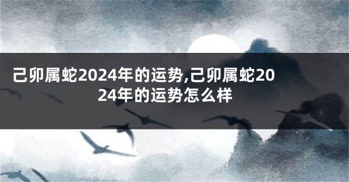 己卯属蛇2024年的运势,己卯属蛇2024年的运势怎么样