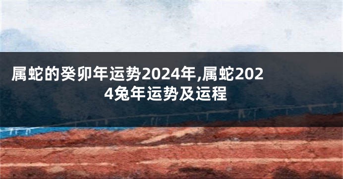 属蛇的癸卯年运势2024年,属蛇2024兔年运势及运程