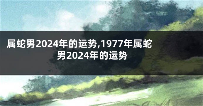 属蛇男2024年的运势,1977年属蛇男2024年的运势