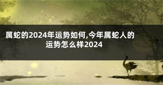 属蛇的2024年运势如何,今年属蛇人的运势怎么样2024