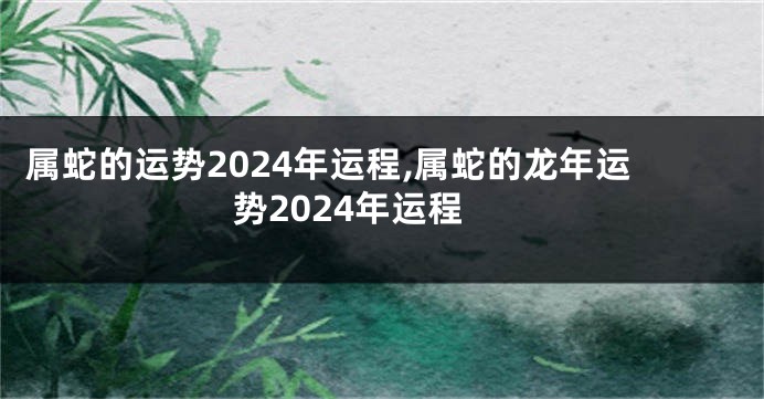 属蛇的运势2024年运程,属蛇的龙年运势2024年运程