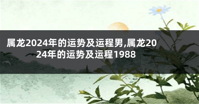 属龙2024年的运势及运程男,属龙2024年的运势及运程1988
