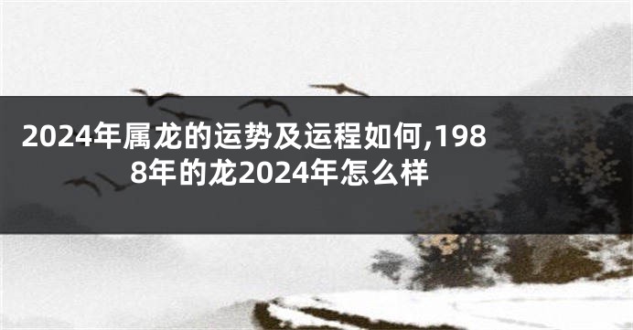 2024年属龙的运势及运程如何,1988年的龙2024年怎么样