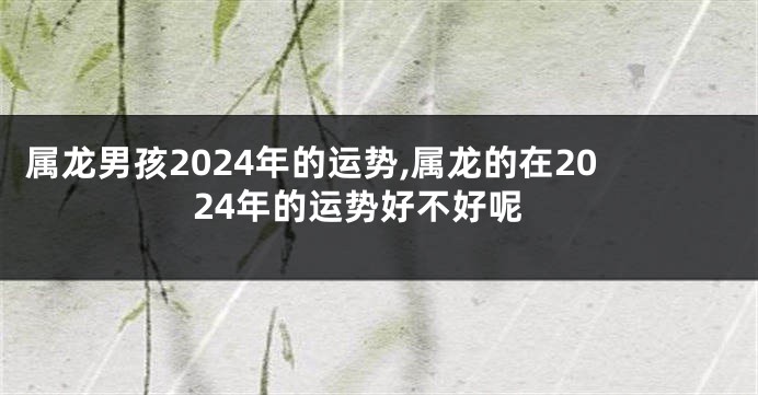 属龙男孩2024年的运势,属龙的在2024年的运势好不好呢
