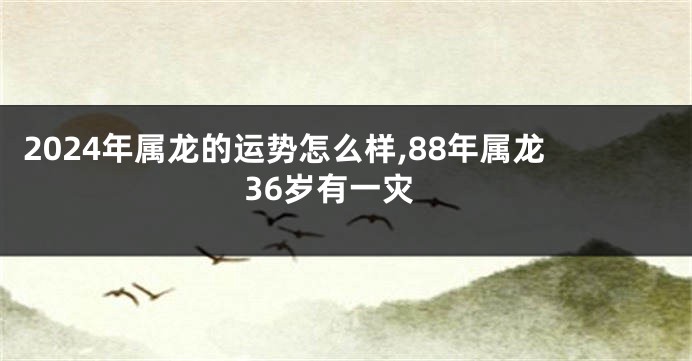 2024年属龙的运势怎么样,88年属龙36岁有一灾