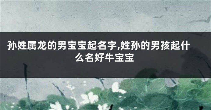 孙姓属龙的男宝宝起名字,姓孙的男孩起什么名好牛宝宝