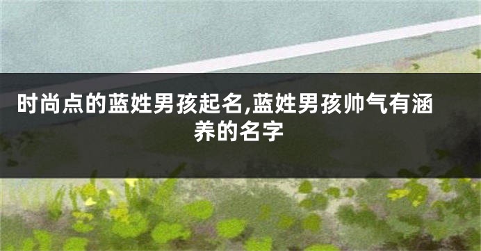 时尚点的蓝姓男孩起名,蓝姓男孩帅气有涵养的名字