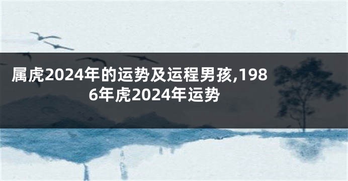 属虎2024年的运势及运程男孩,1986年虎2024年运势