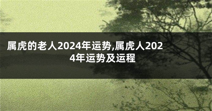 属虎的老人2024年运势,属虎人2024年运势及运程