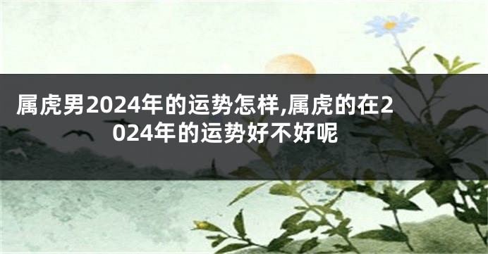 属虎男2024年的运势怎样,属虎的在2024年的运势好不好呢