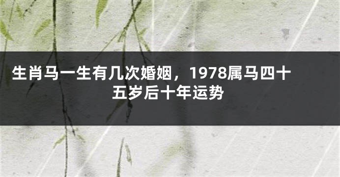 生肖马一生有几次婚姻，1978属马四十五岁后十年运势