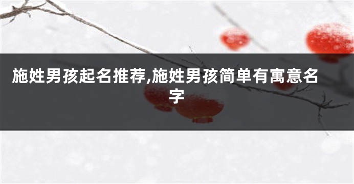 施姓男孩起名推荐,施姓男孩简单有寓意名字