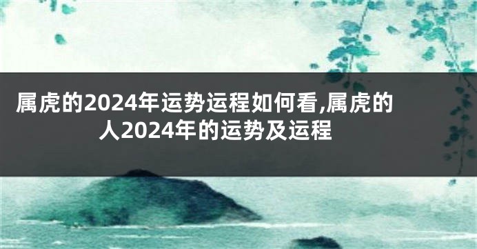 属虎的2024年运势运程如何看,属虎的人2024年的运势及运程