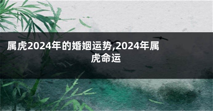 属虎2024年的婚姻运势,2024年属虎命运