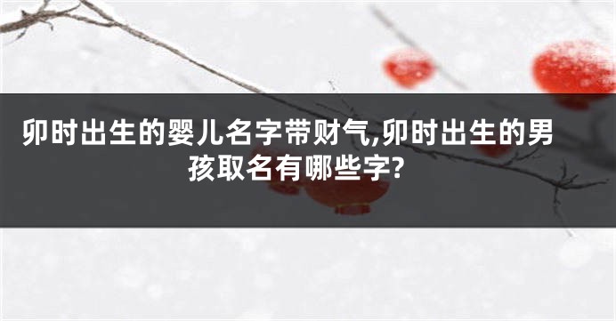 卯时出生的婴儿名字带财气,卯时出生的男孩取名有哪些字?