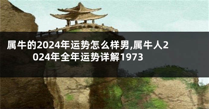 属牛的2024年运势怎么样男,属牛人2024年全年运势详解1973