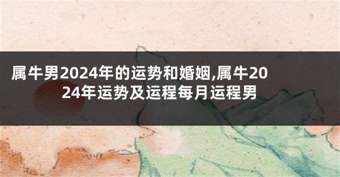 属牛男2024年的运势和婚姻,属牛2024年运势及运程每月运程男