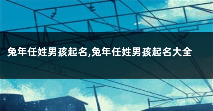 兔年任姓男孩起名,兔年任姓男孩起名大全