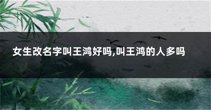女生改名字叫王鸿好吗,叫王鸿的人多吗