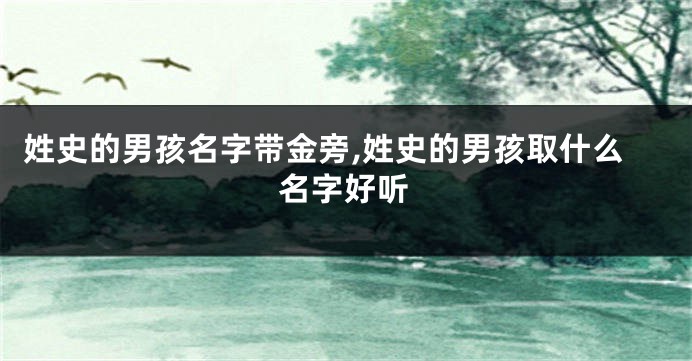 姓史的男孩名字带金旁,姓史的男孩取什么名字好听