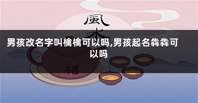 男孩改名字叫檎檎可以吗,男孩起名犇犇可以吗