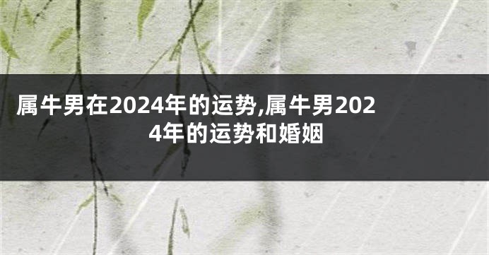 属牛男在2024年的运势,属牛男2024年的运势和婚姻