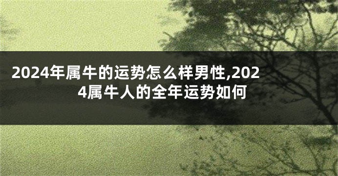2024年属牛的运势怎么样男性,2024属牛人的全年运势如何