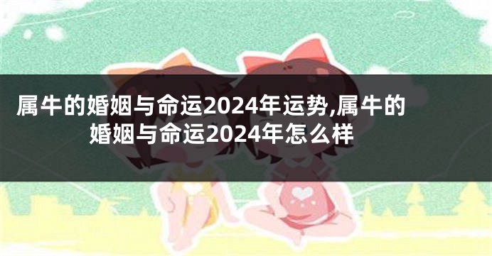 属牛的婚姻与命运2024年运势,属牛的婚姻与命运2024年怎么样