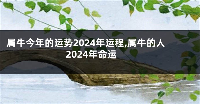 属牛今年的运势2024年运程,属牛的人2024年命运
