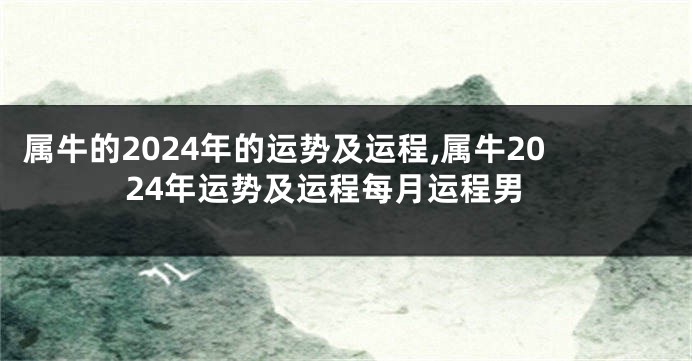 属牛的2024年的运势及运程,属牛2024年运势及运程每月运程男