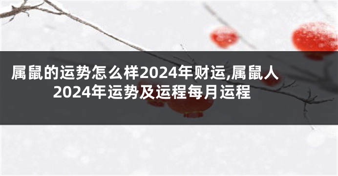 属鼠的运势怎么样2024年财运,属鼠人2024年运势及运程每月运程