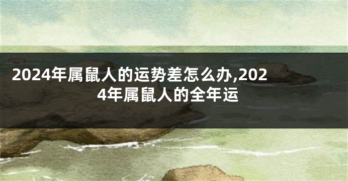 2024年属鼠人的运势差怎么办,2024年属鼠人的全年运