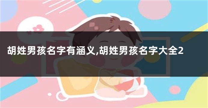 胡姓男孩名字有涵义,胡姓男孩名字大全2