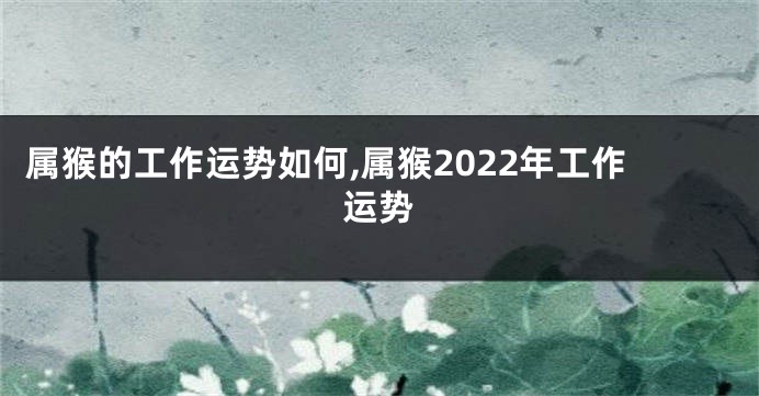 属猴的工作运势如何,属猴2022年工作运势