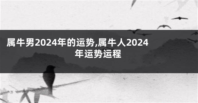 属牛男2024年的运势,属牛人2024年运势运程