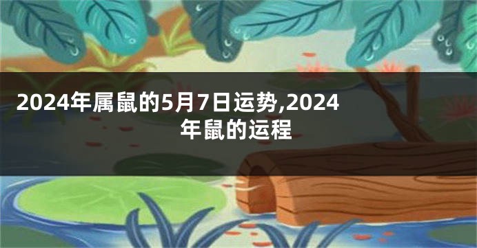 2024年属鼠的5月7日运势,2024年鼠的运程