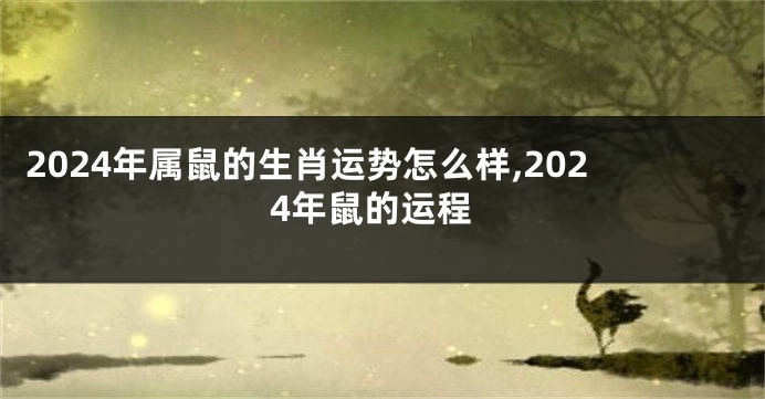 2024年属鼠的生肖运势怎么样,2024年鼠的运程