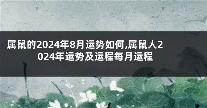 属鼠的2024年8月运势如何,属鼠人2024年运势及运程每月运程