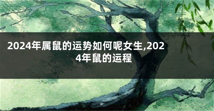 2024年属鼠的运势如何呢女生,2024年鼠的运程