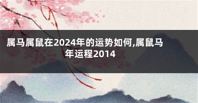 属马属鼠在2024年的运势如何,属鼠马年运程2014