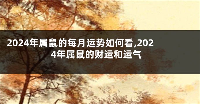 2024年属鼠的每月运势如何看,2024年属鼠的财运和运气