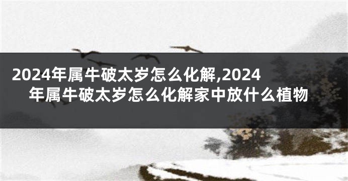 2024年属牛破太岁怎么化解,2024年属牛破太岁怎么化解家中放什么植物