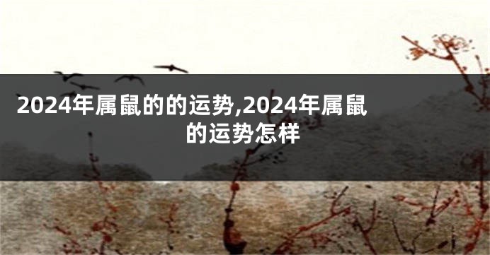 2024年属鼠的的运势,2024年属鼠的运势怎样