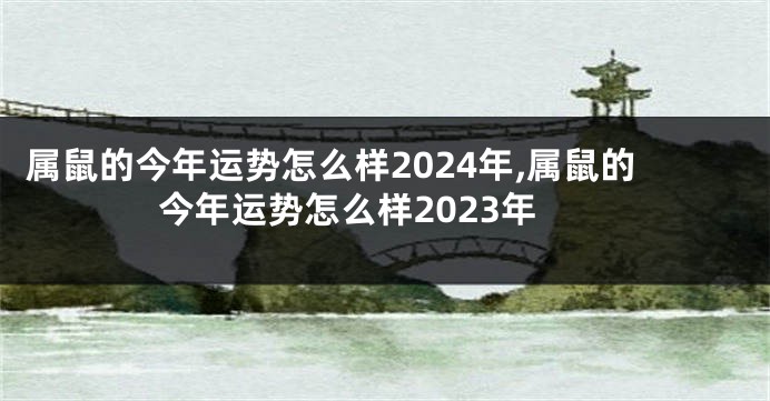 属鼠的今年运势怎么样2024年,属鼠的今年运势怎么样2023年