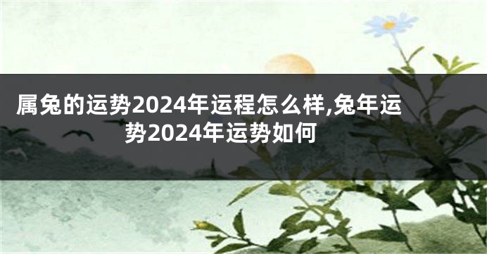 属兔的运势2024年运程怎么样,兔年运势2024年运势如何