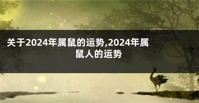 关于2024年属鼠的运势,2024年属鼠人的运势